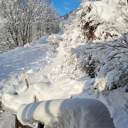 العطلات فيرينهاوس فورستهوف تاكسنباخ