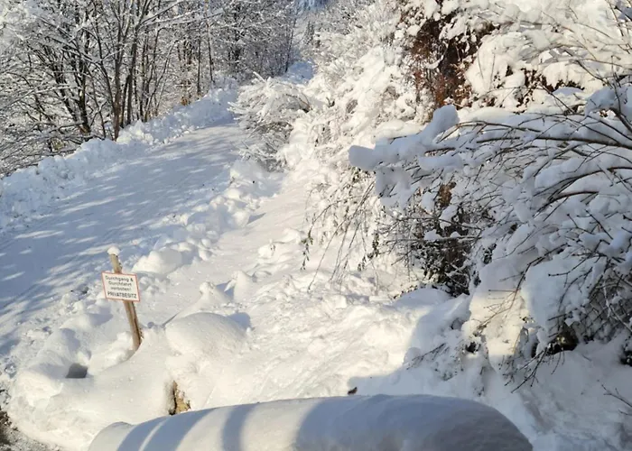 Forsthof 塔克森巴赫