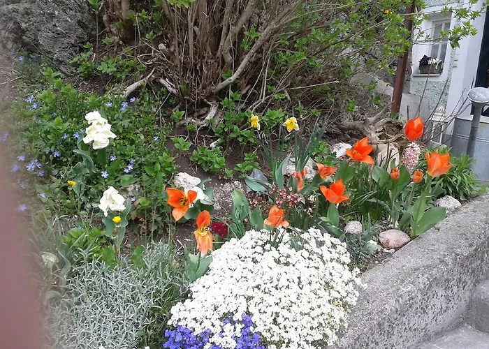 Forsthof * 탁센바흐