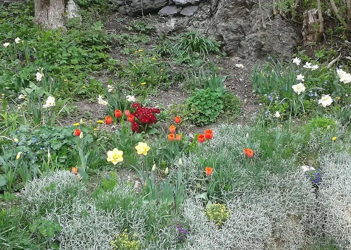 Forsthof 펜션 탁센바흐