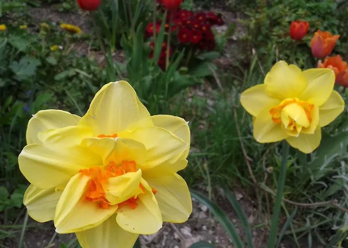 Forsthof 塔克森巴赫