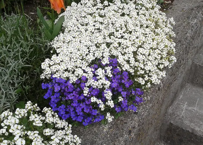 度假居 Forsthof *