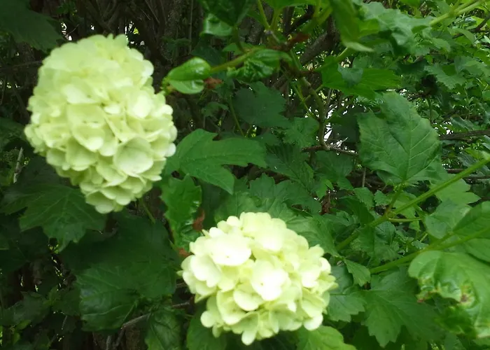 펜션 Forsthof 탁센바흐